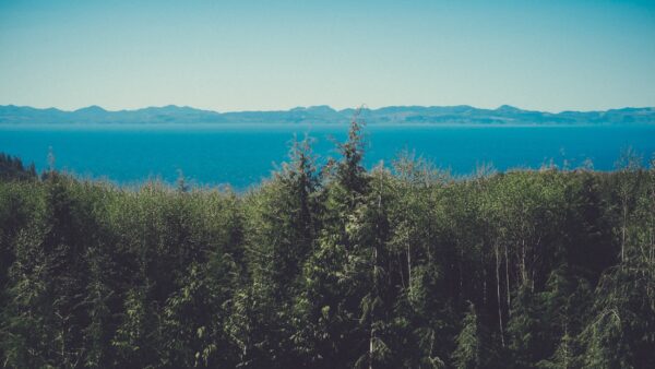 「第6回アバンセ懇話会」開催のお知らせ