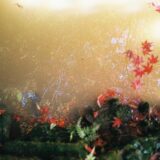 所定疾患施設療養費に関して