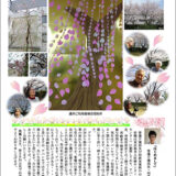 ひだまり便り Vol.17