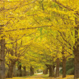 入所手続きにご活用ください