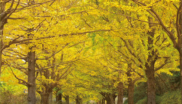 入所手続きにご活用ください